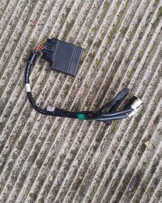 Ricambi Yamaha WRF 250 