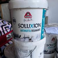 Idropittura antimuffa risanante Soluzion 10L Boero