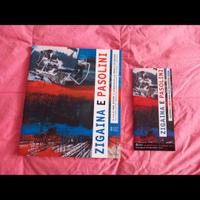 ZIGAINA E PASOLINI 🔴🟦🟡🟠⚪️🟣🟢🟫