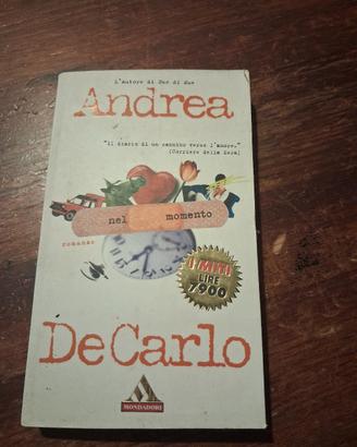 Andrea DeCarlo