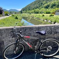 Mountain Bike Uomo Torpado