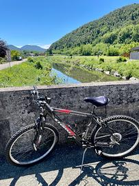 Mountain Bike Uomo Torpado