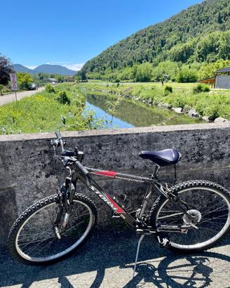 Mountain Bike Uomo Torpado