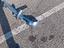 Immagine 5