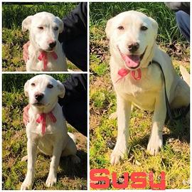 Susy e i suoi fratellini attendono ancora casa