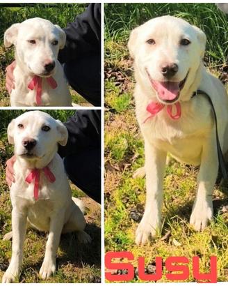 Susy e i suoi fratellini attendono ancora casa