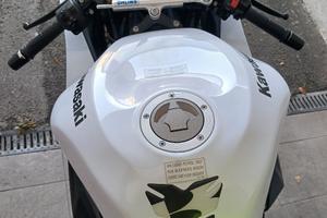 kawasaki zx10r 2010