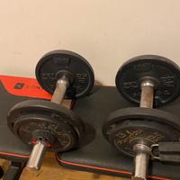 Manubri pesi per casa