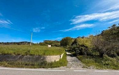 terreno agricolo
