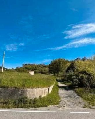terreno agricolo