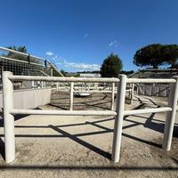 Giostra allenamento cavalli