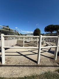 Giostra allenamento cavalli