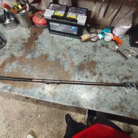 Bolognese lake trout 400