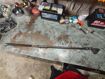 Bolognese lake trout 400