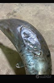 Marmitta Doma Racing