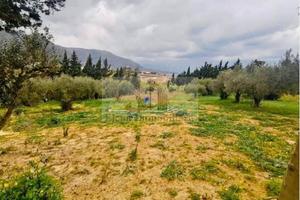 Terreno di 2600 m² a Alcamo