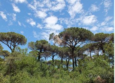 MULTILOCALE A CERVIA
