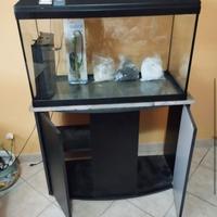 Acquario da 130 litri
