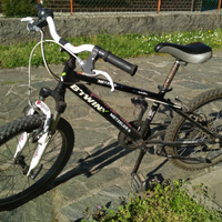 Bicicletta ruote 20