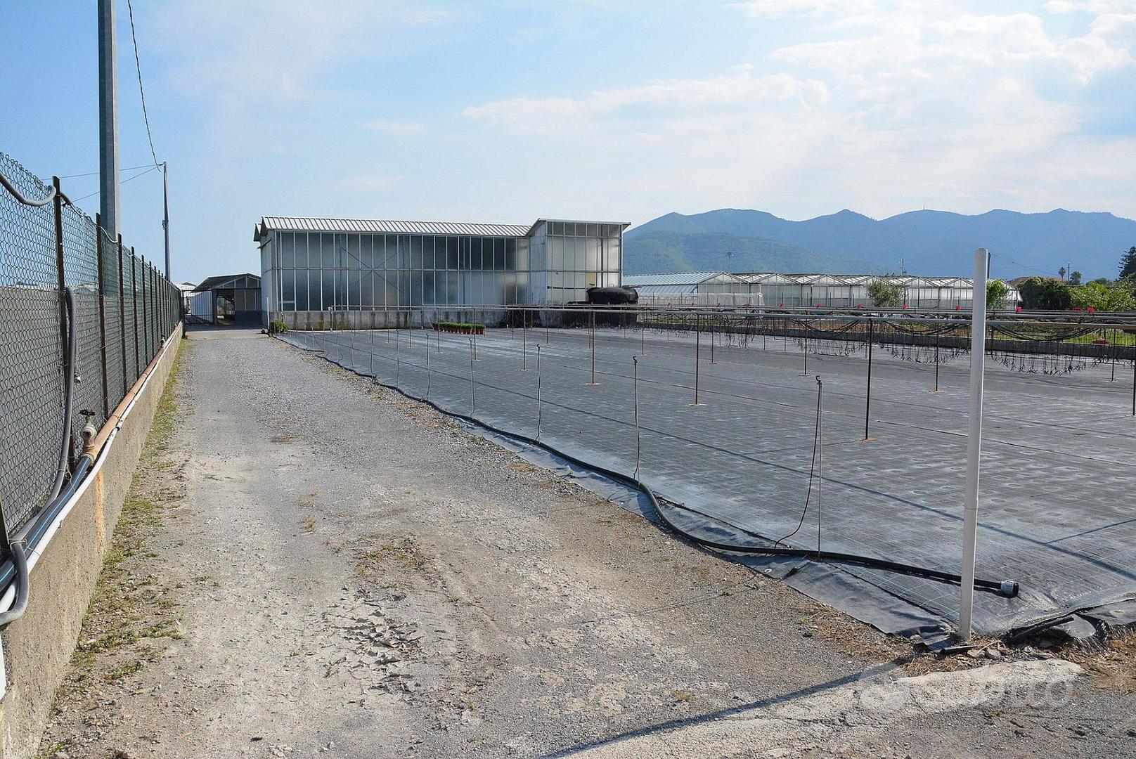 Azienda agricola - Vista 2