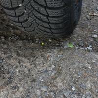 mi bscambio con differenza 4 gomme su cerchio Fiat