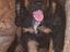 Immagine 6