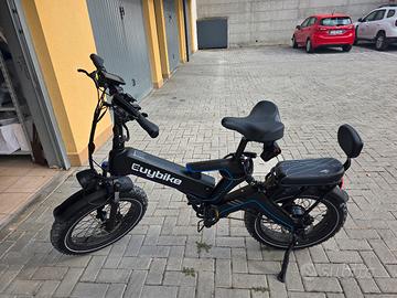 Bici elettrica 1000 w