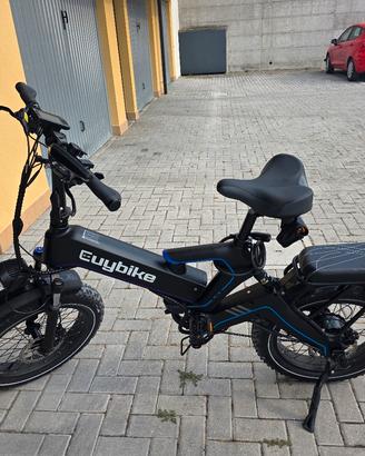 Bici elettrica 1000 w