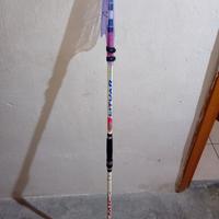 Canna da Surfcasting Colmic Lituar 4.20