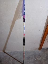 Canna da Surfcasting Colmic Lituar 4.20