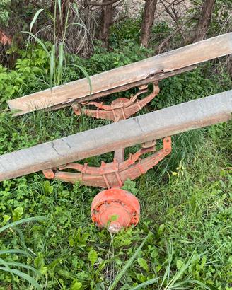 Assale e timone agricolo