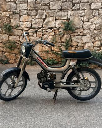 Cimatti Gringo a presa diretta (Raro)
