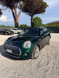 Mini 1.5 One D