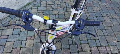 Bicicleta Tecnobike