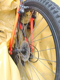 bicicletta 