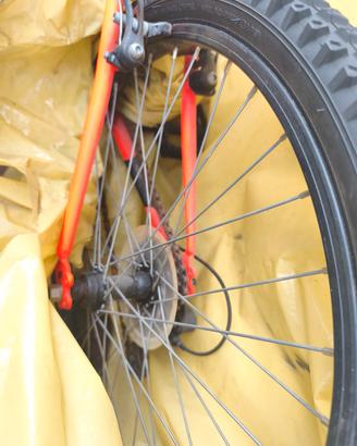 bicicletta 