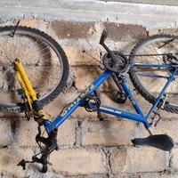 bicicletta 