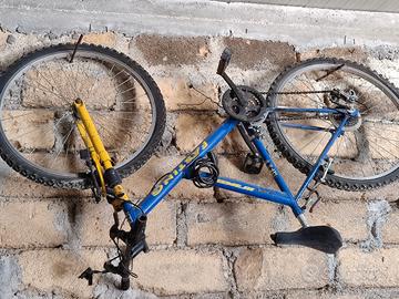 bicicletta 