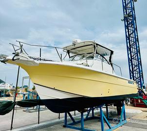 FISHERMAN SEA FOX 287 con meno di 300 ORE