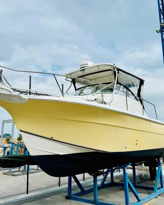 FISHERMAN SEA FOX 287 con meno di 300 ORE