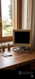 Monitor LCD Vintage EIZO 