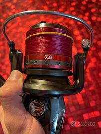 Mulinello DAIWA