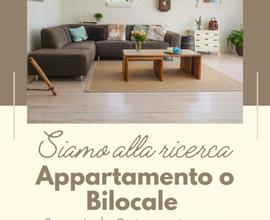 Monolocale, bilocale o appartamento