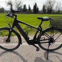 Trek Verve 3 +
