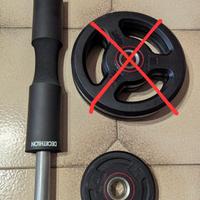 Bilancieri con dischi