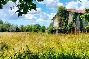 Terreno edificabile con rustico