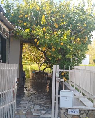 Case vacanze Scauri