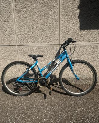 Bici mountain bike