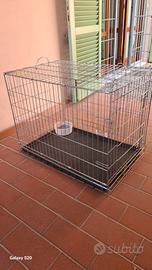 box per cani