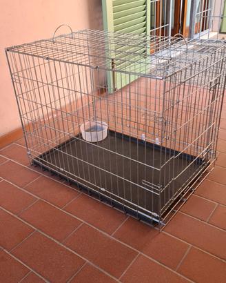 box per cani